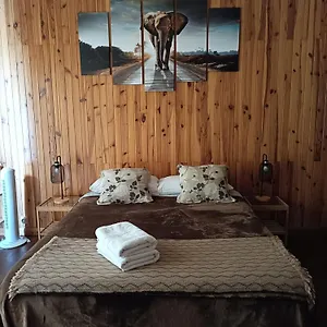 Tenerife Dreams Coffee&bed Santa Cruz de Tenerife